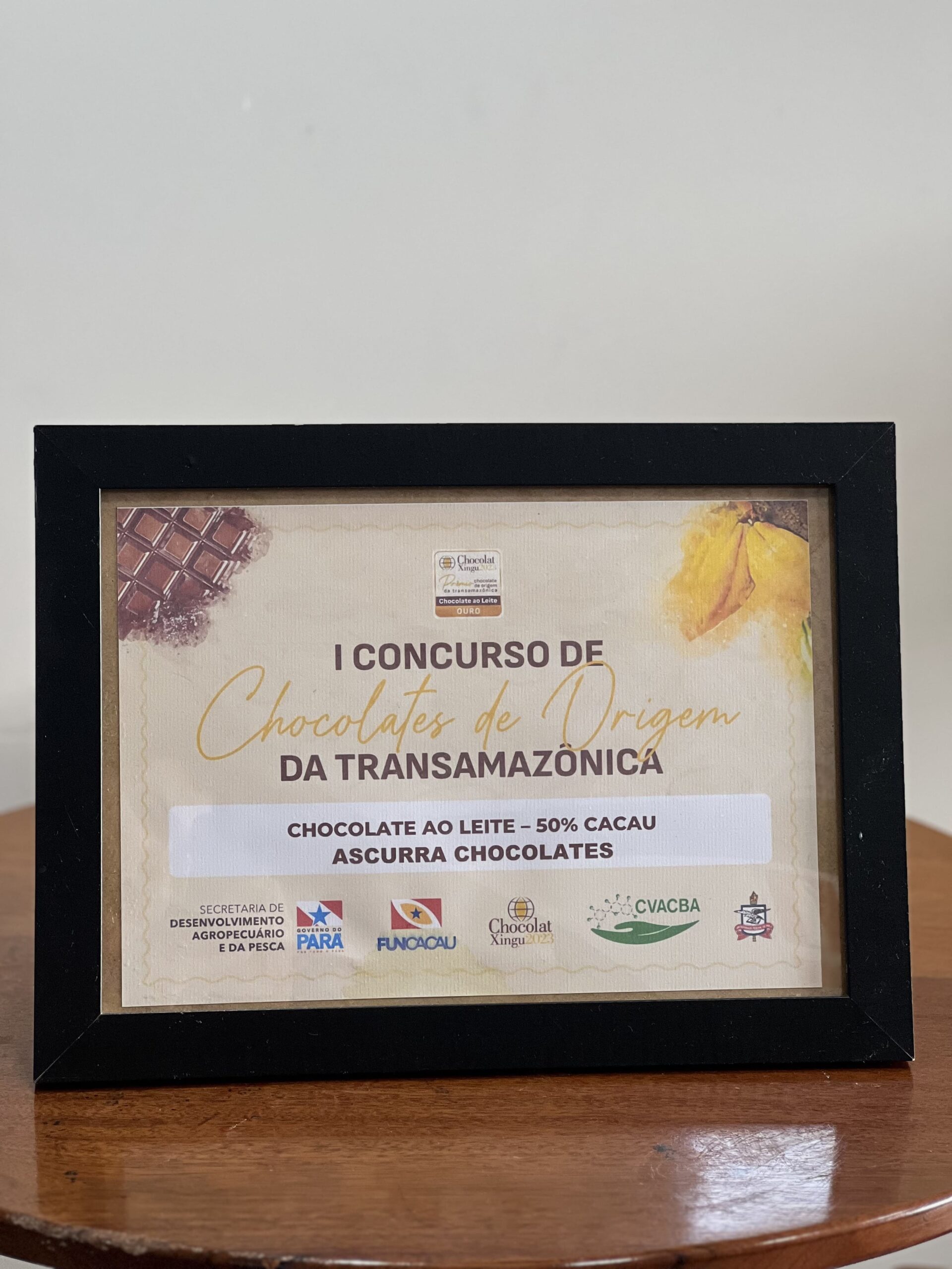 Ouro Concurso Chocolate de Origem da Transamazônica 2023 Categoria ao Leite